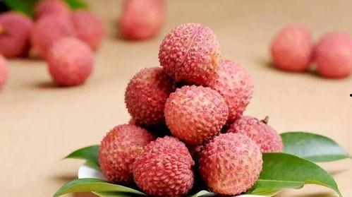 娱乐吃瓜酱荔枝视频,娱乐吃瓜酱带你揭秘娱乐圈幕后故事