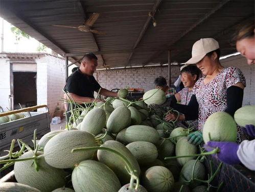 718sx吃瓜娱乐去哪里了